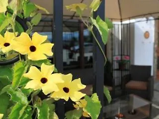 Airporthotel Salzburg - Hotel Am Salzburg Airport
